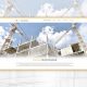 TWD budowa - projektowanie stron www - Angels Advertising | agencja reklamowa