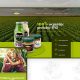 Prosoya | stworzenie sklepu internetowego - Angels Advertising | agencja reklamowa