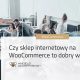 Czy sklep internetowy na WooCommerce to dobry wybór?